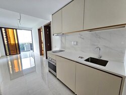 Kopar At Newton (D9), Apartment #457255251